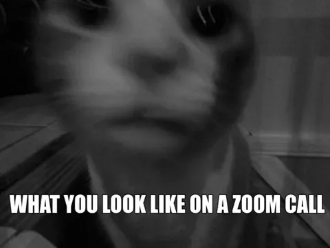 #zoomfrozenface