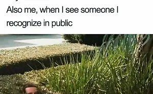 50 Of The Funniest Introvert Memes (New Pics)