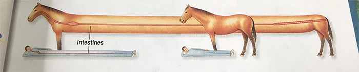 50 Bizarre Science Diagrams That Are Actually Real, As Shared On This Page
