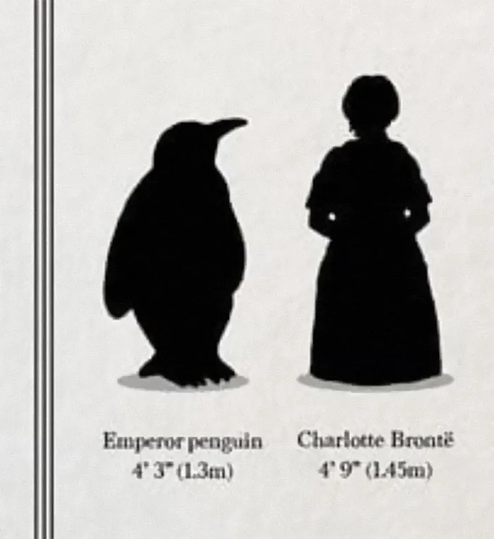 50 Bizarre Science Diagrams That Are Actually Real, As Shared On This Page