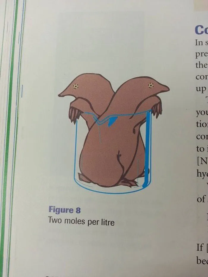 50 Bizarre Science Diagrams That Are Actually Real, As Shared On This Page