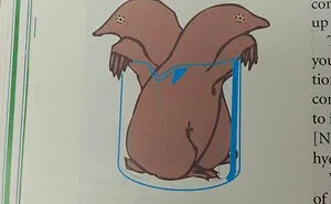 50 Bizarre Science Diagrams That Are Actually Real, As Shared On This Page
