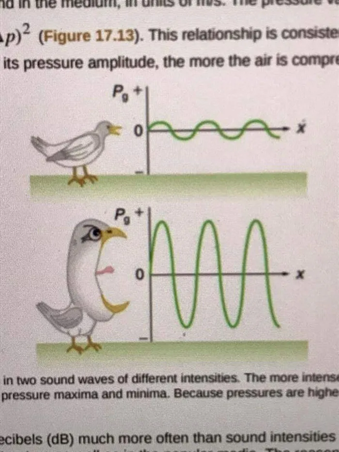 50 Bizarre Science Diagrams That Are Actually Real, As Shared On This Page