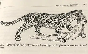 50 Bizarre Science Diagrams That Are Actually Real, As Shared On This Page