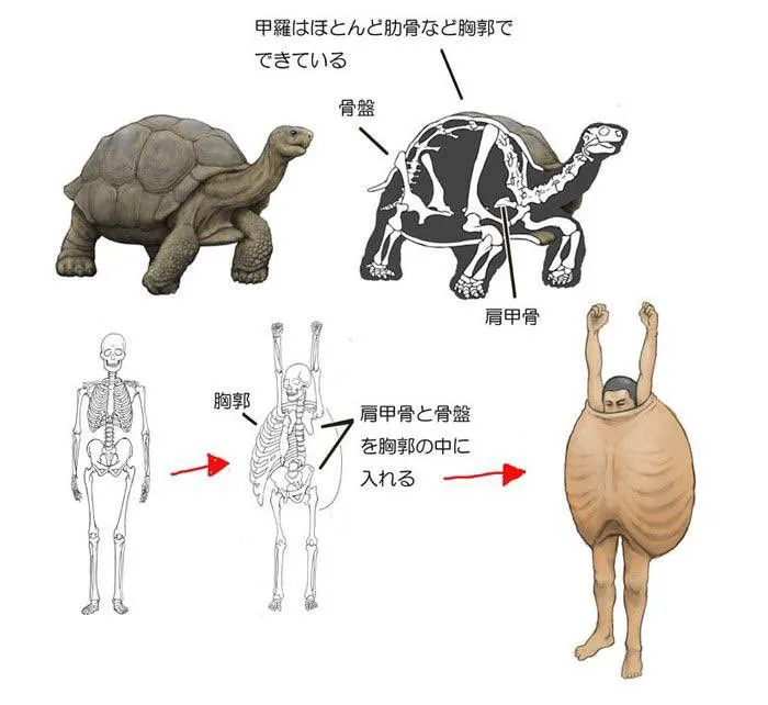 50 Bizarre Science Diagrams That Are Actually Real, As Shared On This Page