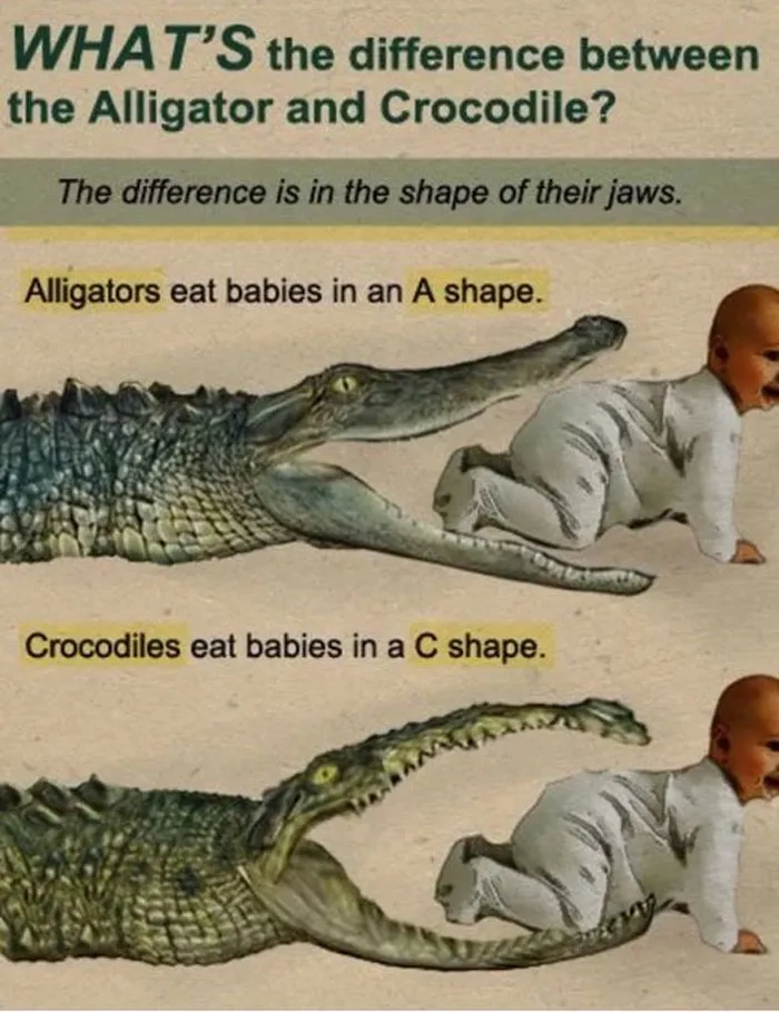 Hilarious-Science-Diagrams