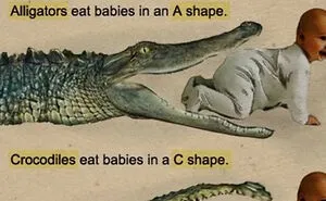 50 Bizarre Science Diagrams That Are Actually Real, As Shared On This Page