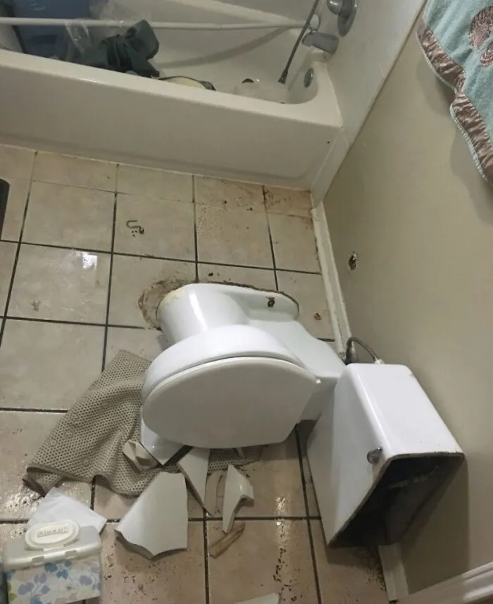 Slipped In The Shower, Landed On The Toilet