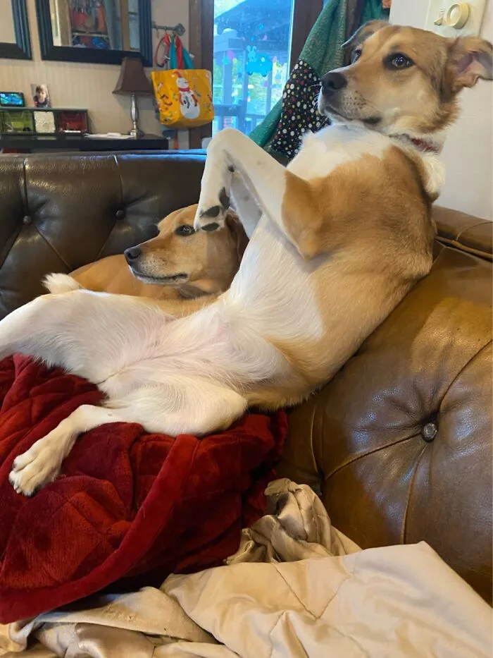 What!?