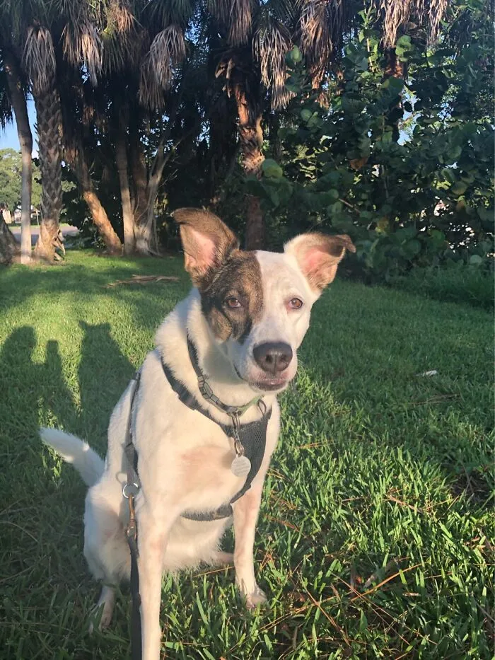 Rosie!!