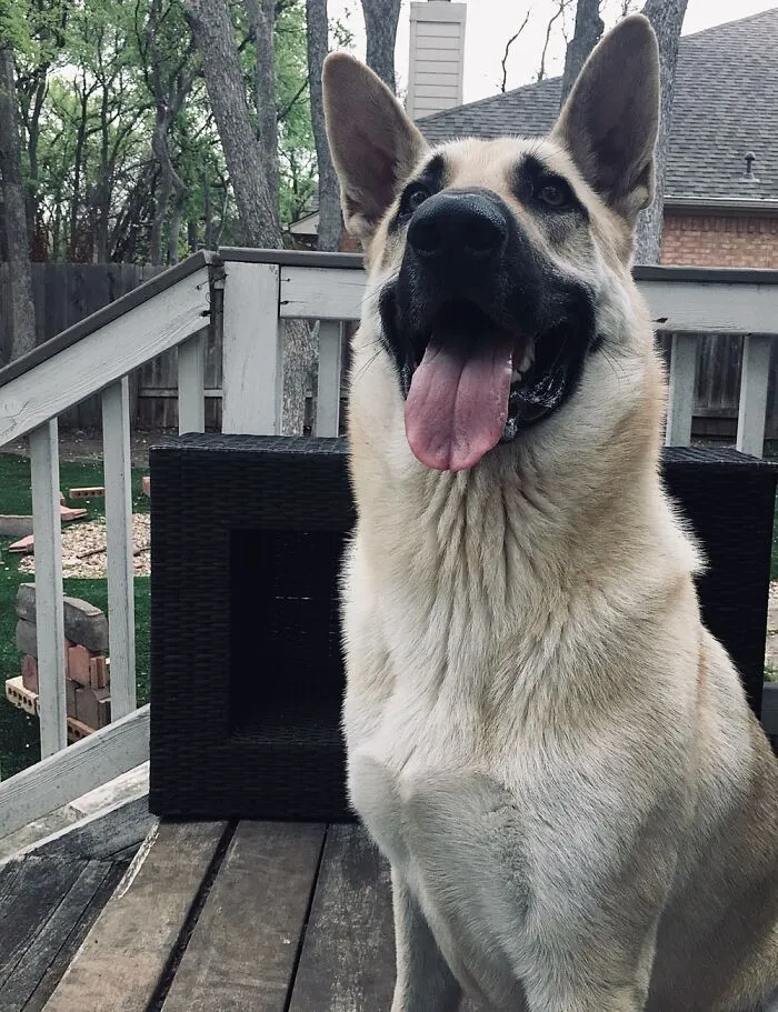 This Is Tucker