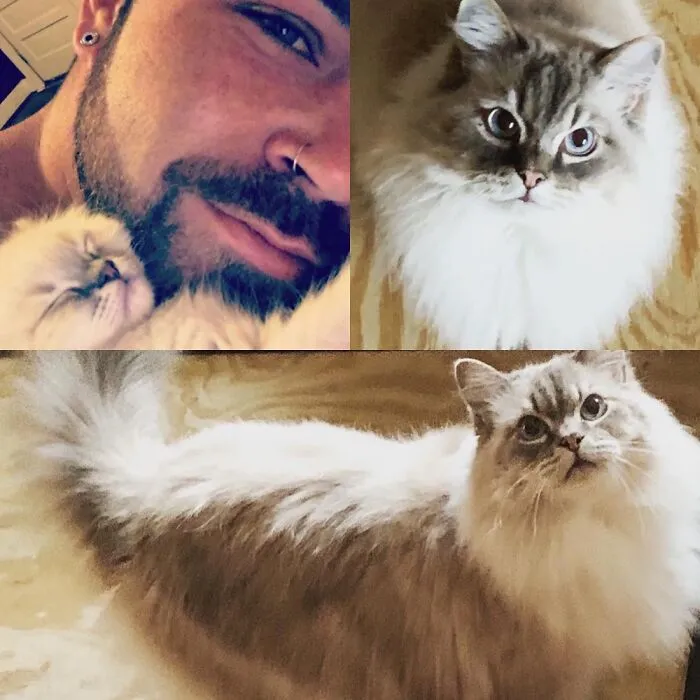My Floof