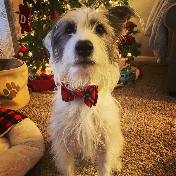 Old Man Dexter