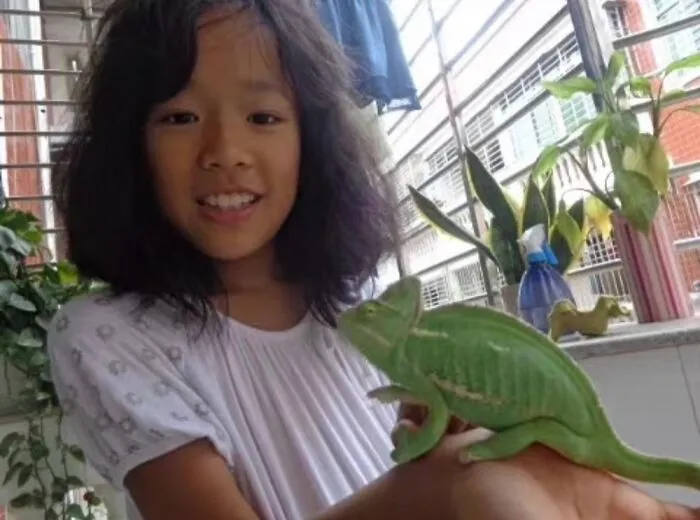 The Little Cute Chameleon I Kept Several Years Ago And I Miss It.