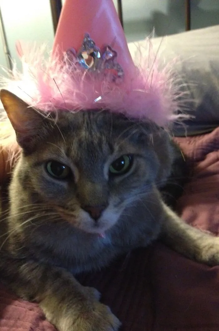 Princess Gidget
