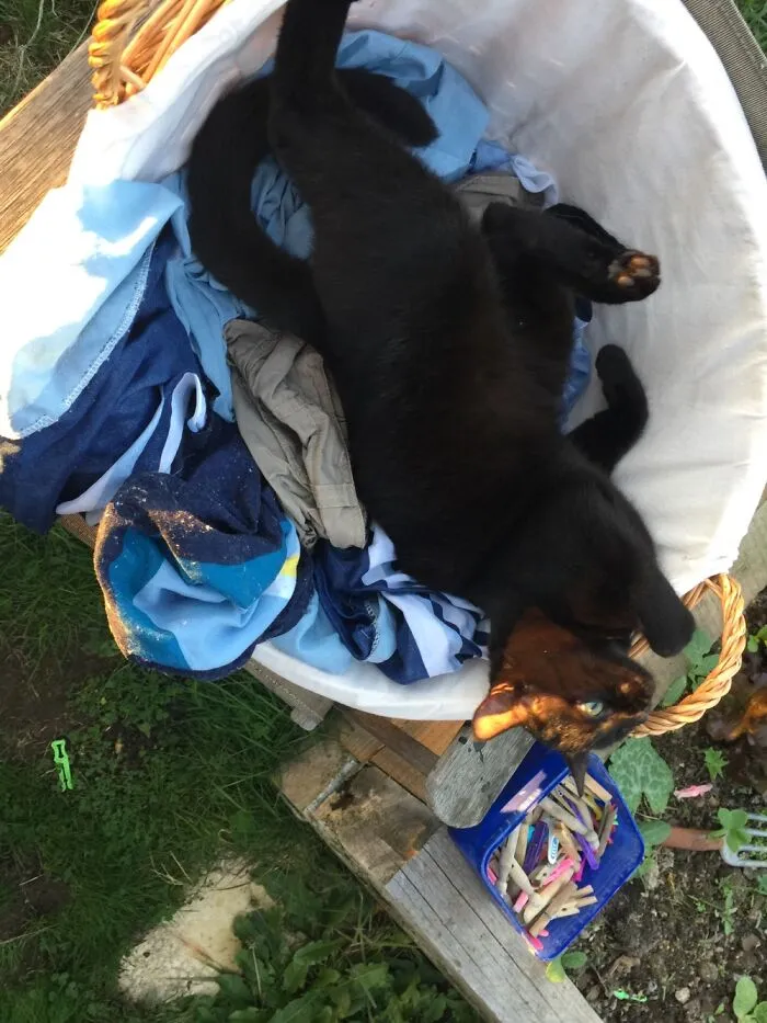 Protecting Clean Washing