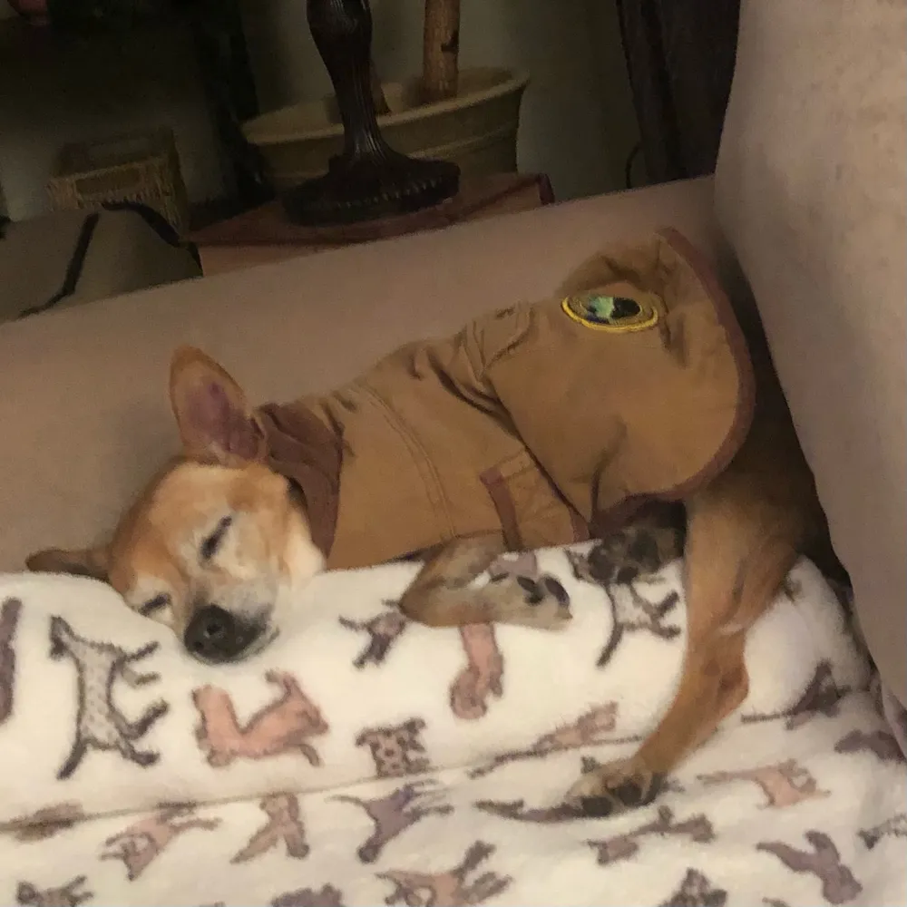 Sleeping Beauty
