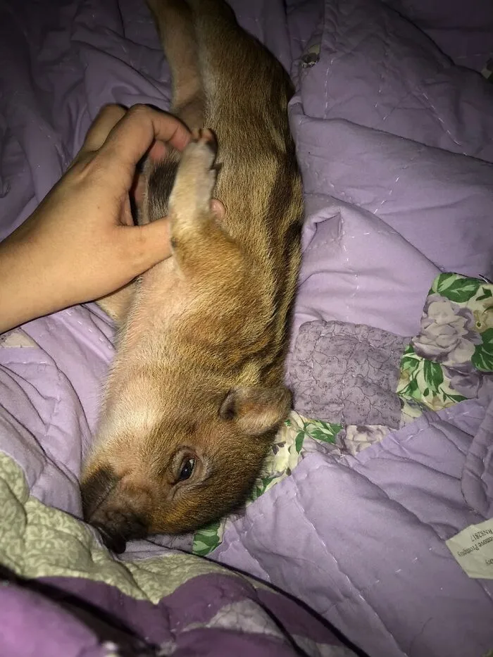 Violet As A Baby