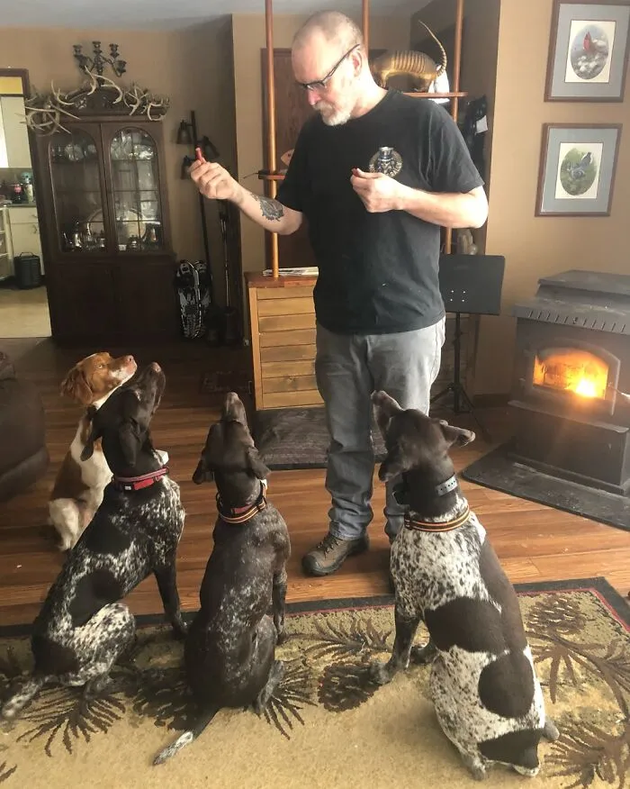 Good Dogs!