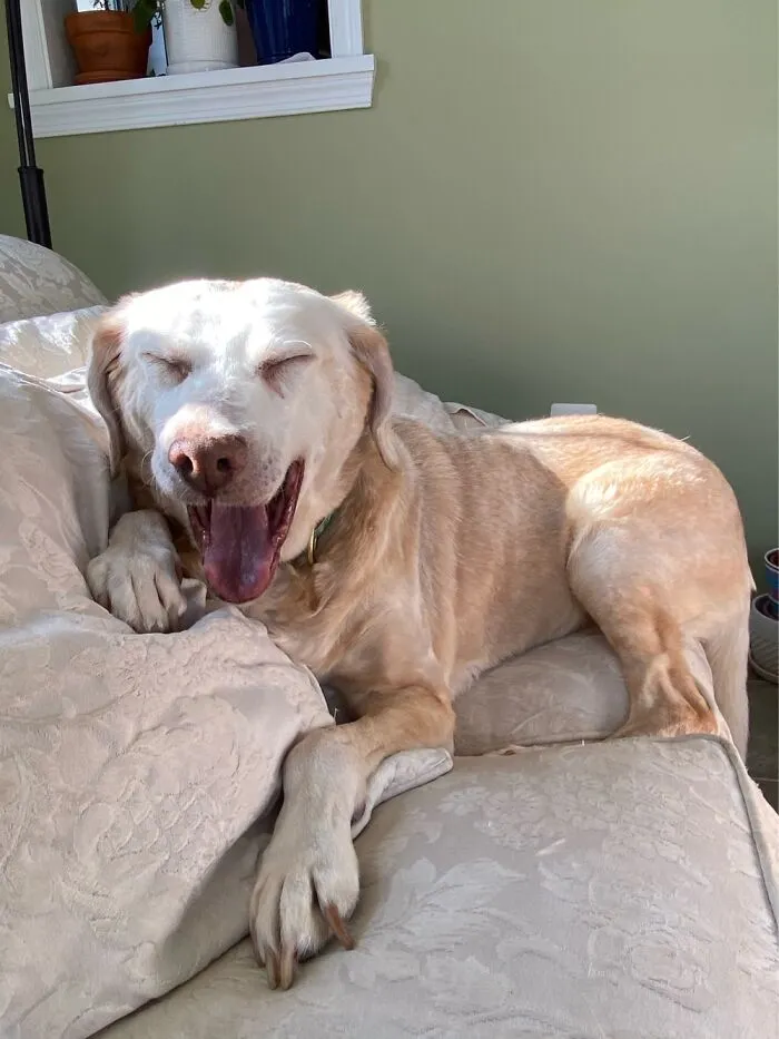 This Is Luna