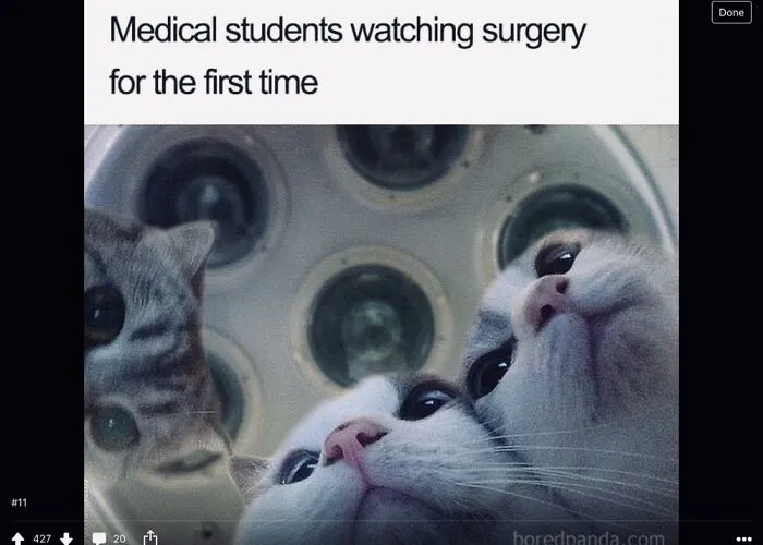 From A Colleague When I Had A Minor Procedure. Made Me Laugh All The Way To The Operating Room.