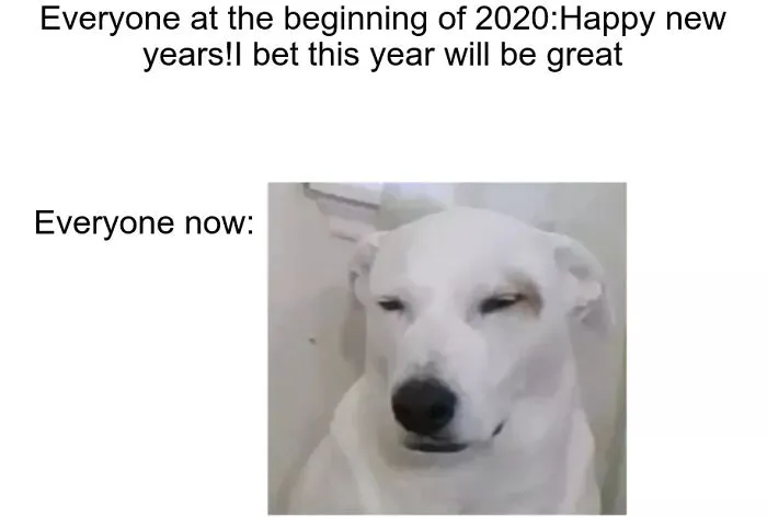Old Meme(Made Last Year)