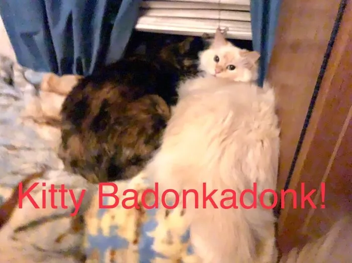 Charmin & Elsa
