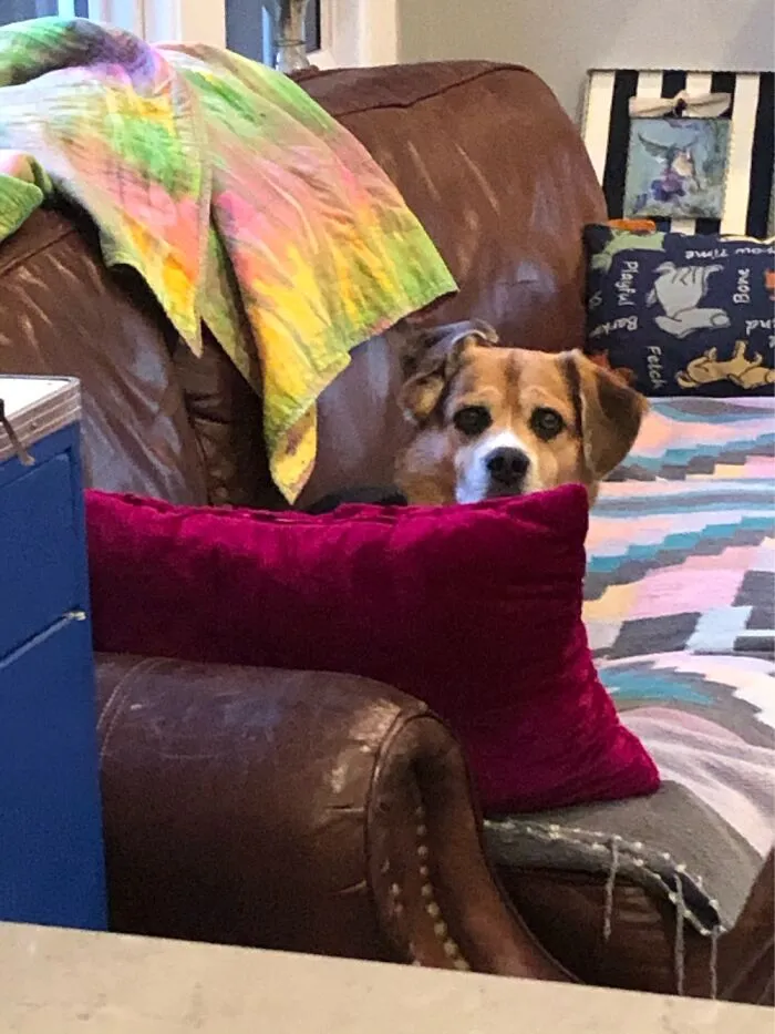 The Goober Ear