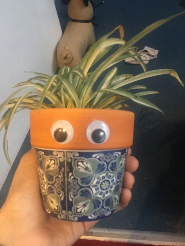 Spider-Gorrila :>