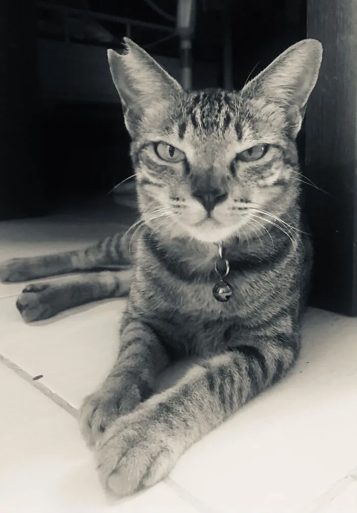 My Baby Gurl Marimar