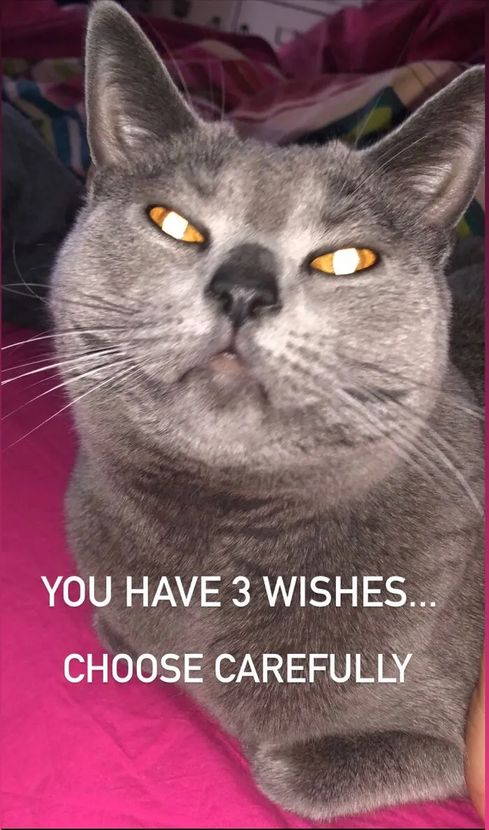 I See Through Your Soul