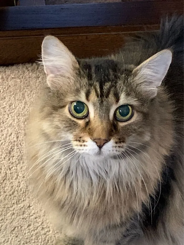 Isn’t It Dinner Time Yet, Mom?