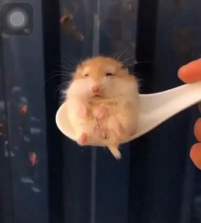 This Facebook Page Is All About Animal Images That Need To Be Seen (50 Pics)