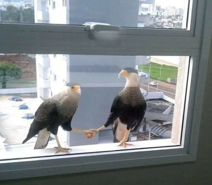 This Facebook Page Is All About Animal Images That Need To Be Seen (50 Pics)