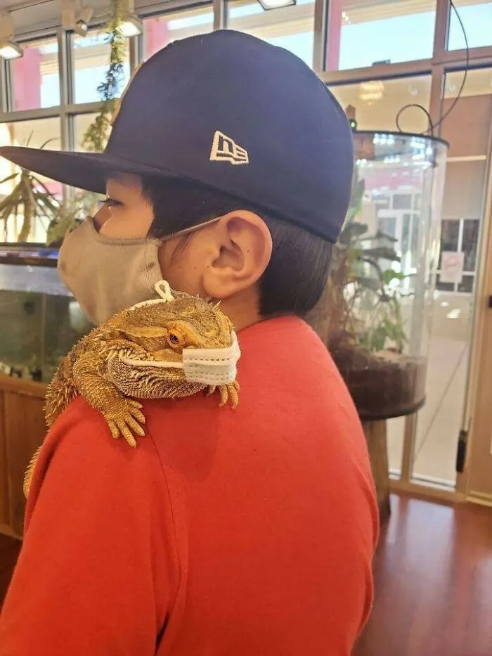 This Facebook Page Is All About Animal Images That Need To Be Seen (50 Pics)