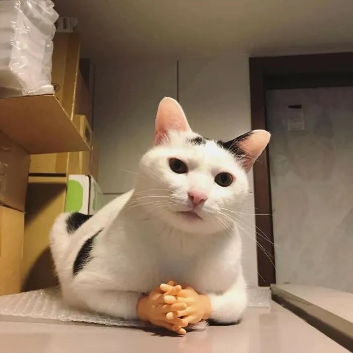 This Facebook Page Is All About Animal Images That Need To Be Seen (50 Pics)