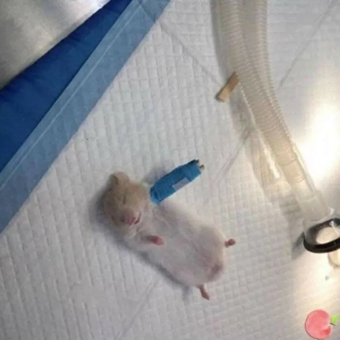 This Facebook Page Is All About Animal Images That Need To Be Seen (50 Pics)