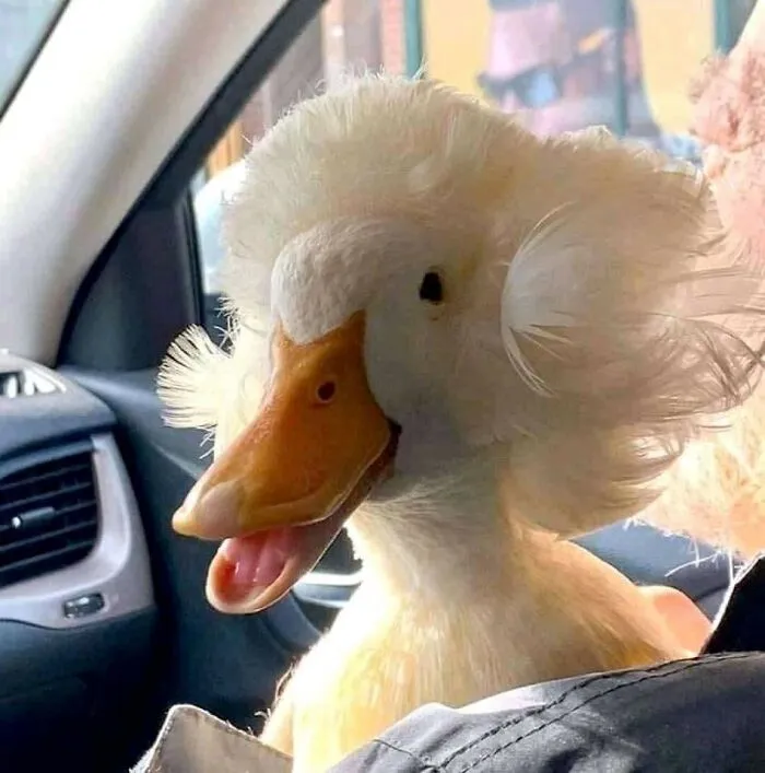 This Facebook Page Is All About Animal Images That Need To Be Seen (50 Pics)