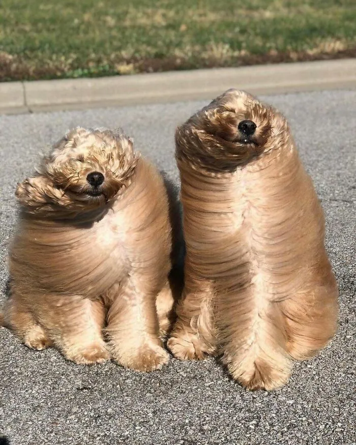 This Facebook Page Is All About Animal Images That Need To Be Seen (50 Pics)