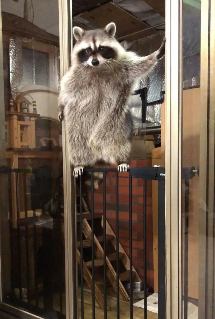 This Facebook Page Is All About Animal Images That Need To Be Seen (50 Pics)