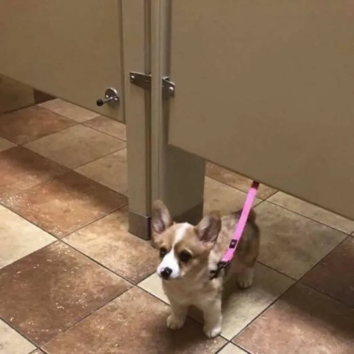 This Facebook Page Is All About Animal Images That Need To Be Seen (50 Pics)