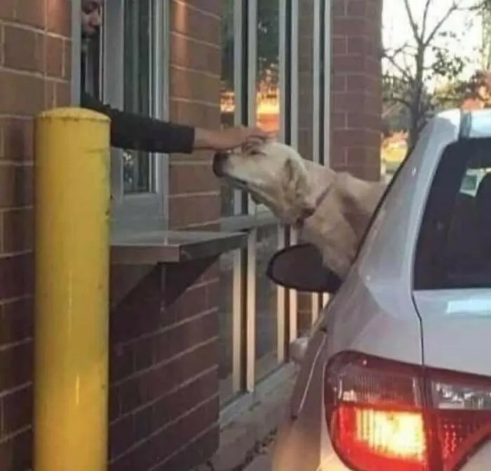 This Facebook Page Is All About Animal Images That Need To Be Seen (50 Pics)