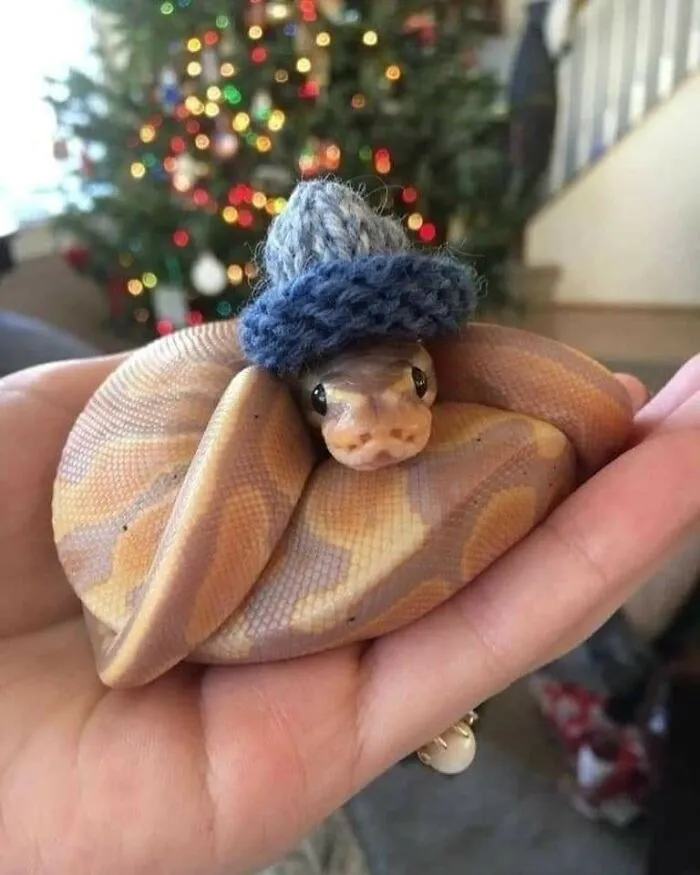 This Facebook Page Is All About Animal Images That Need To Be Seen (50 Pics)