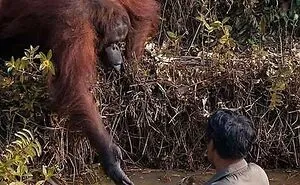 This Facebook Page Is All About Animal Images That Need To Be Seen (50 Pics)