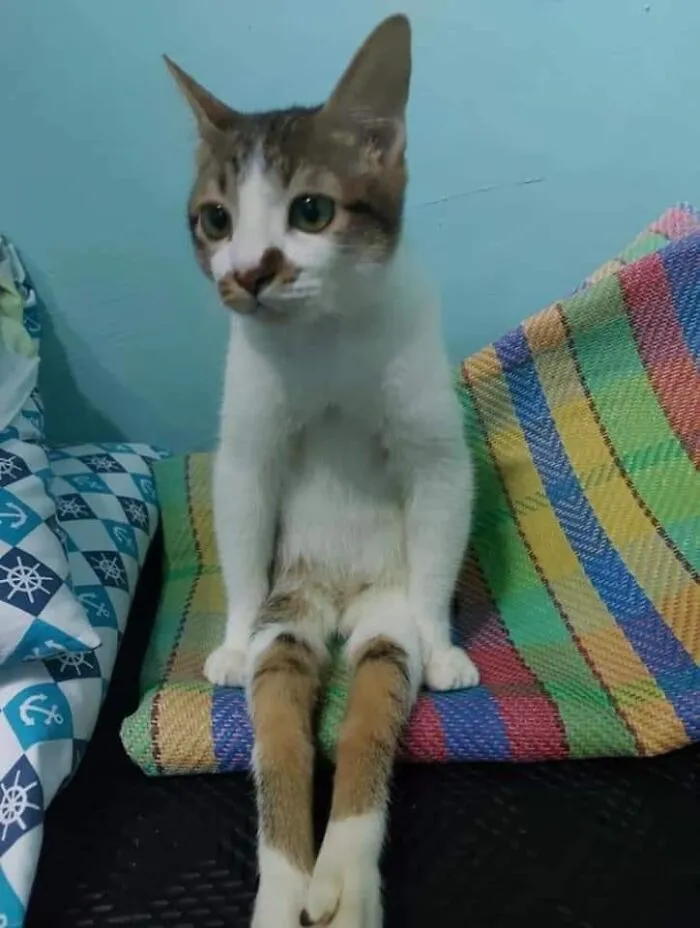 This Facebook Page Is All About Animal Images That Need To Be Seen (50 Pics)