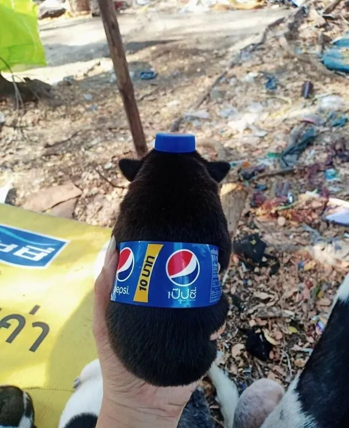 This Facebook Page Is All About Animal Images That Need To Be Seen (50 Pics)