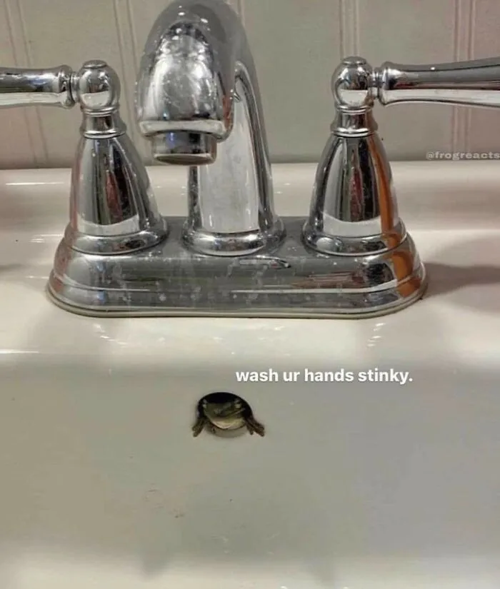 This Facebook Page Is All About Animal Images That Need To Be Seen (50 Pics)