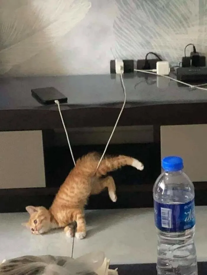 This Facebook Page Is All About Animal Images That Need To Be Seen (50 Pics)