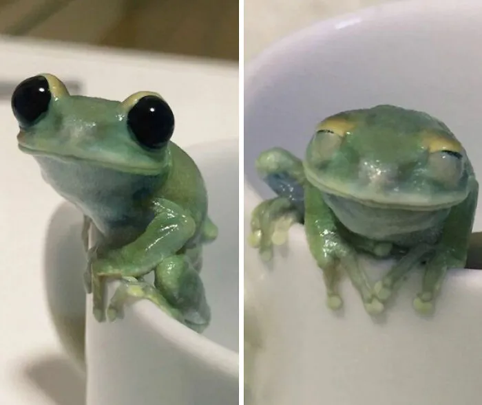 This Facebook Page Is All About Animal Images That Need To Be Seen (50 Pics)