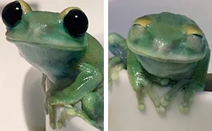 This Facebook Page Is All About Animal Images That Need To Be Seen (50 Pics)